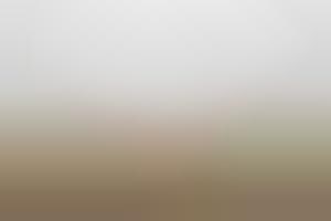 Abandoned Beach Imagery : Salva Lopez