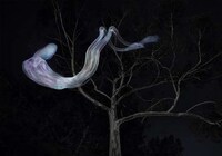 Ghostly Light Paintings Image 5