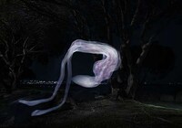 Ghostly Light Paintings Image 6