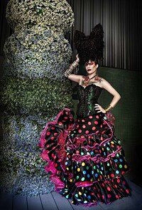 Eccentrically Costumed Captures Image 3