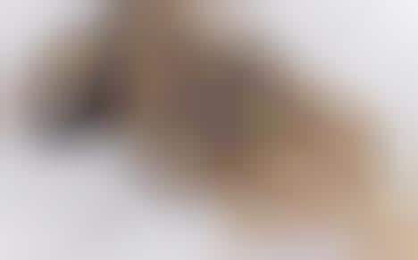 Midas Touch Controllers