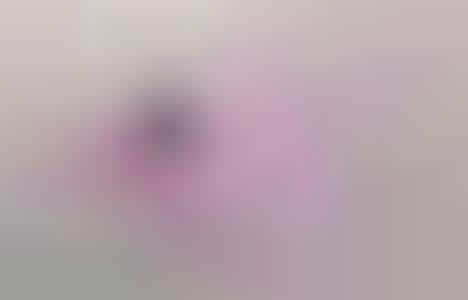 Literal Stain Campaigns