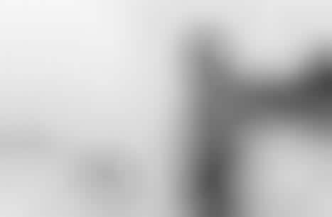 Sizzling Seaside Shoots