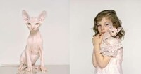 Petrina Hicks Disturbing Photography Image 4