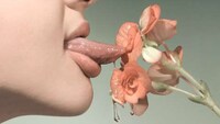 Petrina Hicks Disturbing Photography Image 7