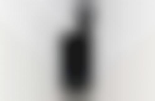Panoramic iPhone Cameras