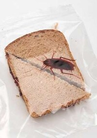 Thievery-Thwarting Sandwiches Image 6