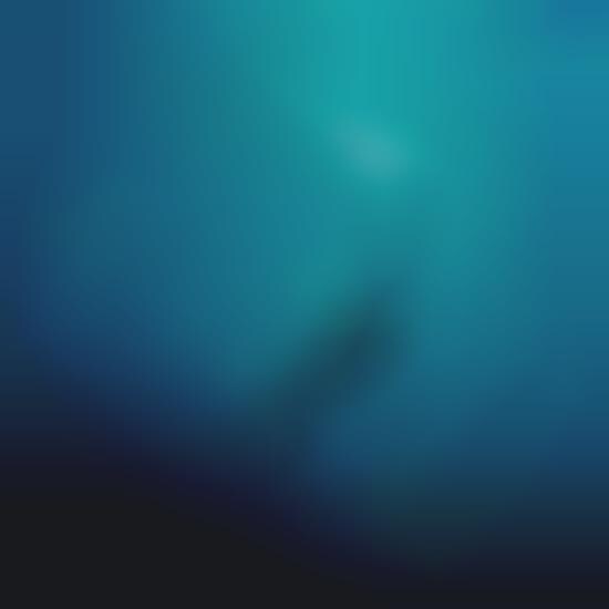 Submerged Dancer Photography