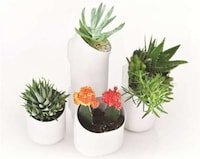Wall-Mounted Modular Flowerpots Image 3