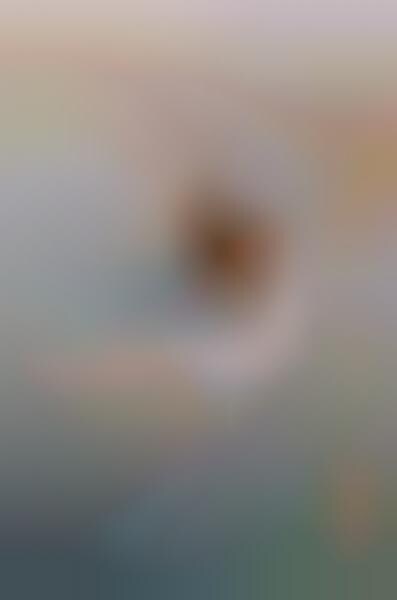 Haunting Low-Resolution Photography