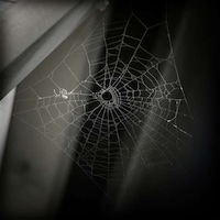Epic Fantasy Photography Image 4