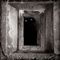 Epic Fantasy Photography Image 5