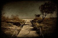 Epic Fantasy Photography Image 7