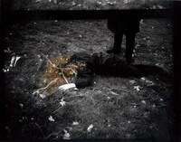 Paranormal Photography Image 5