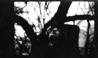 Paranormal Photography Image 7