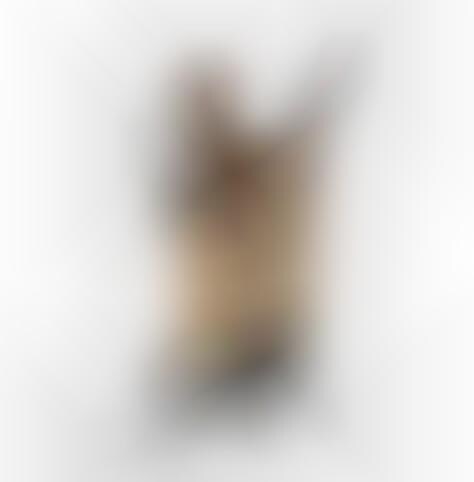 Switchblade Kitchen Utensils Schweizer Messerblock Swiss Knife Block