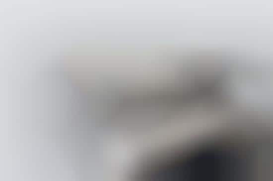 Snakeskin Waistlines