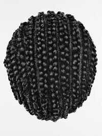 Intricate Braid Depictions Image 8