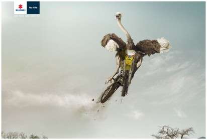 Fly Motorcycle Campaigns