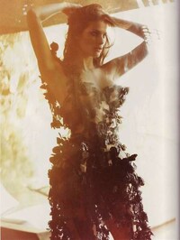 Demure Sunlight Spreads Image 2