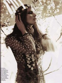 Demure Sunlight Spreads Image 6