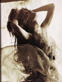Demure Sunlight Spreads Image 7