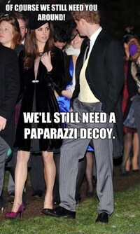 Parodical Princess Memes Image 7