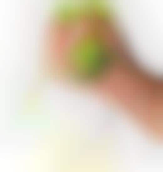 Squeeze-Worthy Juicers