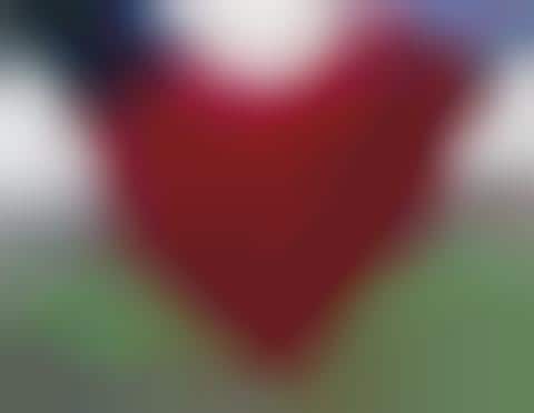 Cute Couples' Mittens