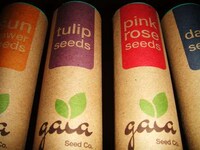 Recyclable Plant Packaging Image 2