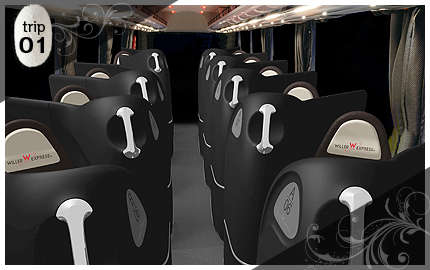 Lavish Luxury Buses