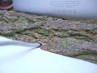 Eco iDocks Image 3