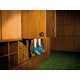 Perplexing Pair Photography Image 5