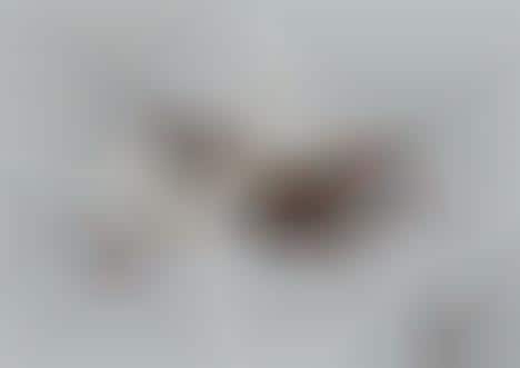 Imagination-Oriented Block Campaigns