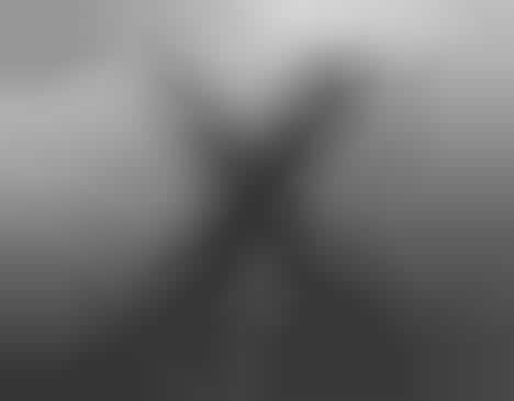 Alphabetic Still Life