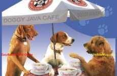 Canine Coffee