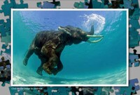 Your Photo As A Puzzle Image 2