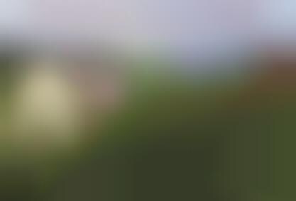 Fighting The Clothes Line Ban