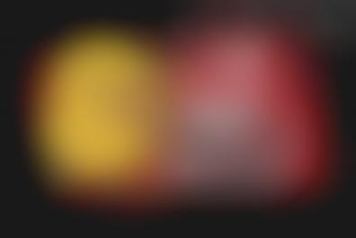 27 Provocative PETA Protests