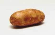 Spudtacular Viral Ad
