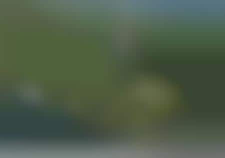 Tiger Woods Flips His $38 Million House