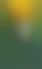 Intelligent Mini Flotation Device