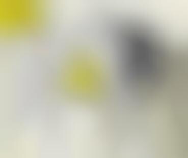 Funny Flight Safety Animations