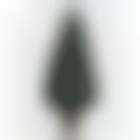 Wirelessly Powered Christmas Tree Image 1