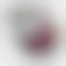 Designer Ice Cream Container