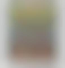 Hand-Embroidered Eyeglass Cases