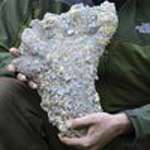 Yeti, Myth or Reality?