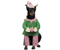 Christmas Costumes for Pets
