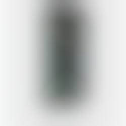 iPhone Rental