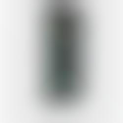 iPhone Rental